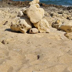 Albufeira Coastal Trail - Albufeira