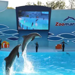 Zoomarine Algarve - Albufeira