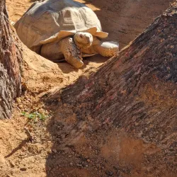 Zoomarine Algarve - Albufeira