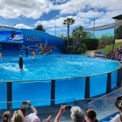 Zoomarine Algarve - Albufeira