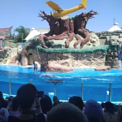 Zoomarine Algarve - Albufeira