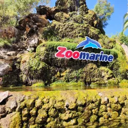 Zoomarine Algarve - Albufeira