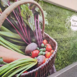 Mercado de Alcabideche - Alcabideche