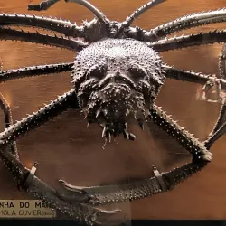 Museu do Mar - Cascais - Alcabideche