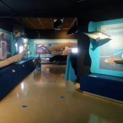 Museu do Mar - Cascais - Alcabideche