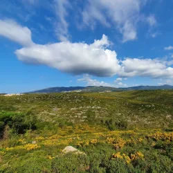 Parque Urbano de Alcabideche - Alcabideche