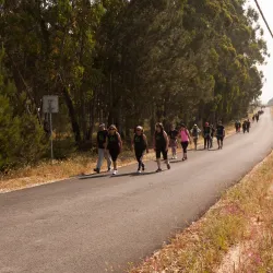 Festival do Arroz (Rice Festival) - Alcochete