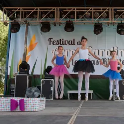 Festival do Arroz (Rice Festival) - Alcochete