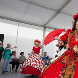 Festival do Arroz (Rice Festival) - Alcochete