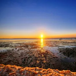 Parque da Cidade de Alcochete - Alcochete