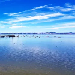 Parque da Cidade de Alcochete - Alcochete