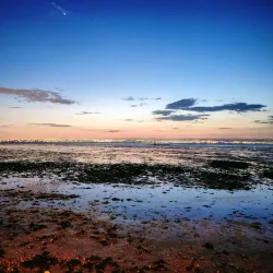 Parque da Cidade de Alcochete - Alcochete