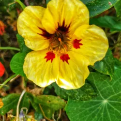 Quinta do Saldanha - Alcochete