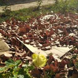 Quinta do Saldanha - Alcochete