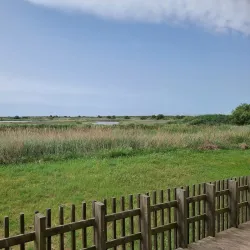 Tagus Estuary Natural Reserve - Alcochete