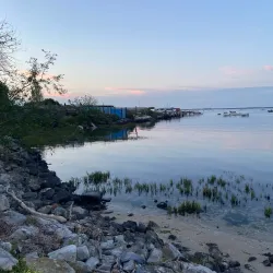 Tagus Estuary Natural Reserve - Alcochete