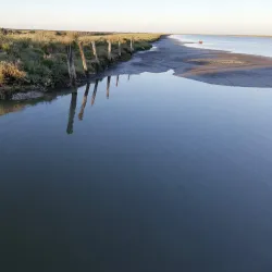 Tagus Estuary Natural Reserve - Alcochete