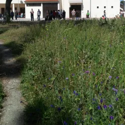 Igreja de São João Baptista - Almada