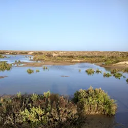 Ria Formosa Natural Park - Almancil
