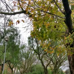 Parque da Cidade de Alverca - Alverca do Ribatejo