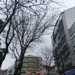 Jardim dos Pimentéis - Amadora