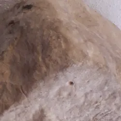 Museu Municipal de Arqueologia da Amadora - Amadora