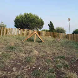 Parque Urbano Moinho de Vento - Amadora