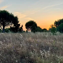 Parque Urbano Moinho de Vento - Amadora