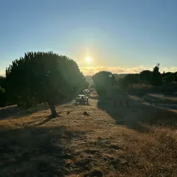 Parque Urbano Moinho de Vento - Amadora