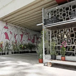 Local Markets - Amarante