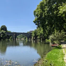 Local Markets - Amarante