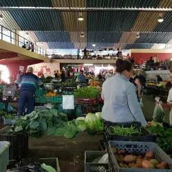 Local Markets - Amarante