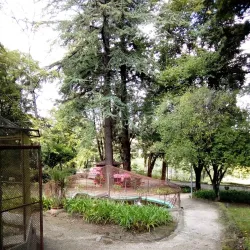 Parque Florestal de Amarante - Amarante