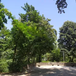 Parque Florestal de Amarante - Amarante