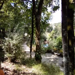 Parque Florestal de Amarante - Amarante