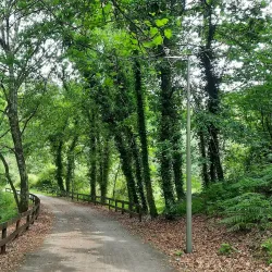 Tâmega River Walks - Amarante