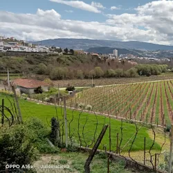 Tâmega River Walks - Amarante