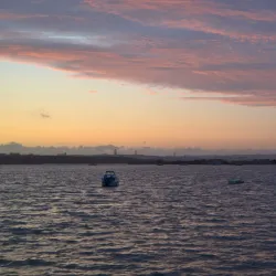 Mercado Municipal de Amora - Amora