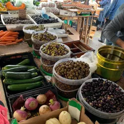 Mercado Municipal de Amora - Amora