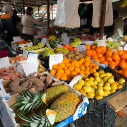 Mercado Municipal de Amora - Amora