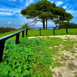 Parque da Cidade de Seixal - Amora
