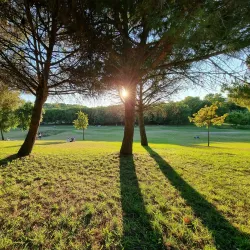 Parque da Paz - Amora