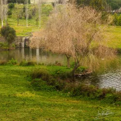 Parque da Paz - Amora