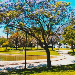 Parque Urbano da Amora - Amora