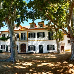 Quinta da Fidalga - Amora