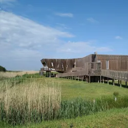 Tagus River Waterfront - Amora