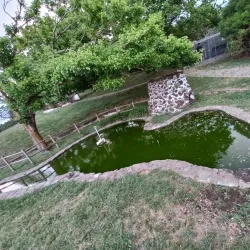 Monte Brasil - Angra do Heroismo