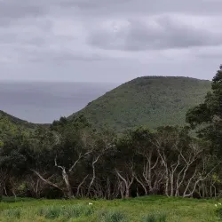 Monte Brasil - Angra do Heroismo