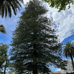 Palácio dos Capitães Generais - Angra do Heroismo