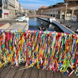 Aveiro Canals - Aveiro